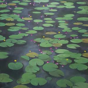 Water Lilies